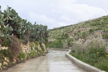 Fototapeta na wymiar Narrow road in nature on Gozo, Malta