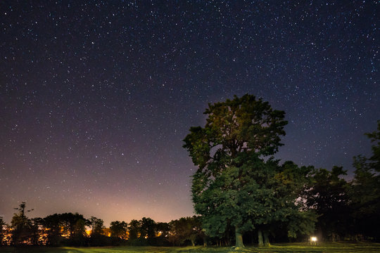 Milky Way Galaxy In Night Starry Sky Above Oak Tree In Summer Forest