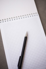 notebook in line with empty place  and  pencil (vertically)