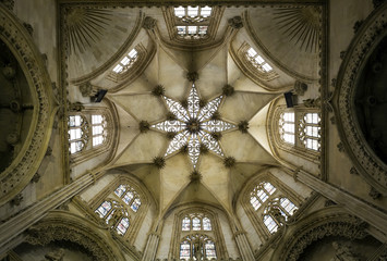 Star-shaped vault of one of the chapels of the Burgos Cathedral, Spain.