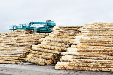 Stacked logs at sawmill with bark removed and wood machinery