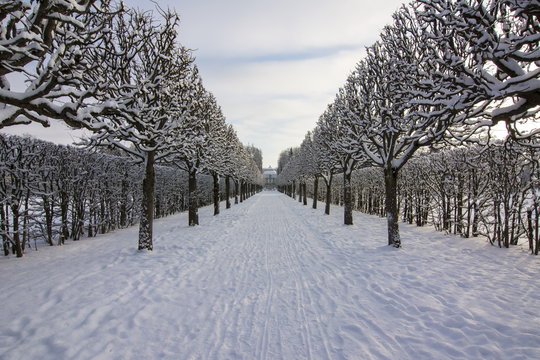 Winter in Catherine park, Tsarskoe Selo, St. Petersburg, Russia