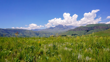 Fototapeta premium Rich nature with grass and mountains, clouds, in Drakensberg Giant Castle, South Africa 