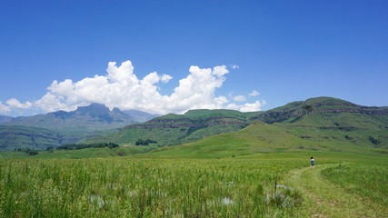 Fototapeta premium Rich nature with grass and mountains, clouds, in Drakensberg Giant Castle, South Africa 