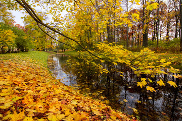 Golden Fall in Catherine park, Tsarskoe Selo Pushkin, Saint Petersburg, Russia