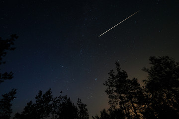 Obraz na płótnie Canvas Night scene with starry sky and meteorite trail over forest