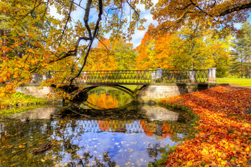 Golden Fall in Catherine park, Tsarskoe Selo (Pushkin), Saint Petersburg, Russia