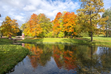 Golden Fall in Catherine park, Tsarskoe Selo (Pushkin), Saint Petersburg, Russia