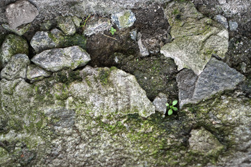 Old grunge old concrete wall. Scratched in an abandoned state and background for design. Stock Photo