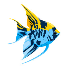 Angelfish. Exotic decorative aquarium fish. Vector