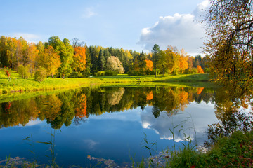 Fototapeta na wymiar Golden fall (mellow autumn) in Pavlovsky park, Pavlovsk, Saint Petersburg, Russia