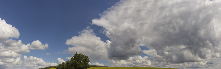 Clouds over the field with sunflower. Summer landscape.