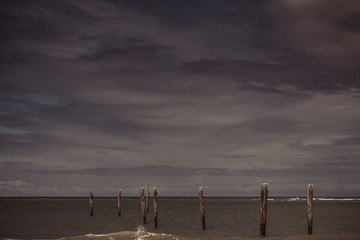 Seagulls standing on poles near the coast.