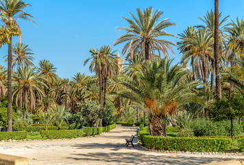 Plakat Villa Bonanno, the public garden with palms near Cathedral in center of Palermo, Sicily, Italy.