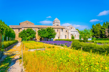 Lavender field in the monastery of Saint Paul de Mausole in France