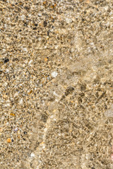 sea shoreline with waves, sandy beach with seashells on a clear sunny day, close-up nature abstract background