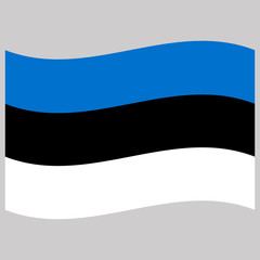 flag  estonia  on gray background vector illustration flat 
