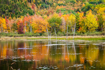 Autumn in Acadia National Park, Mount Desert Island, Maine, USA