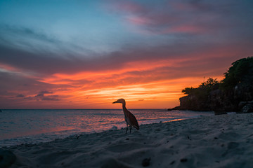   Sunset on a west coast sail  Curacao Views in the caribbean