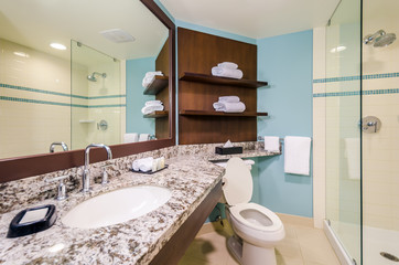 Interior design of a spacious blue and brown bathroom.