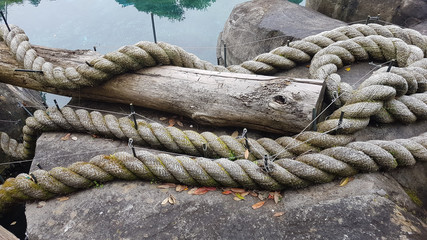 Giant thick rope on a stone slab with water background with tree reflections