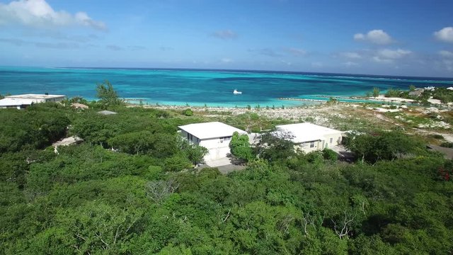 Beach foliage in Turks and Caicos, aerial