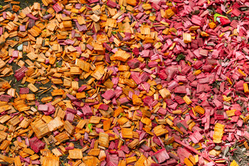Colored splinters of wood lying on the ground