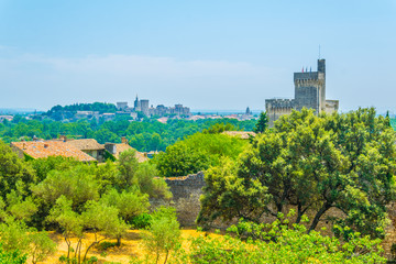 Cityscape of Avignon with Palais des Papes, tour philippe le bel and Cathedral of Our Lady, France