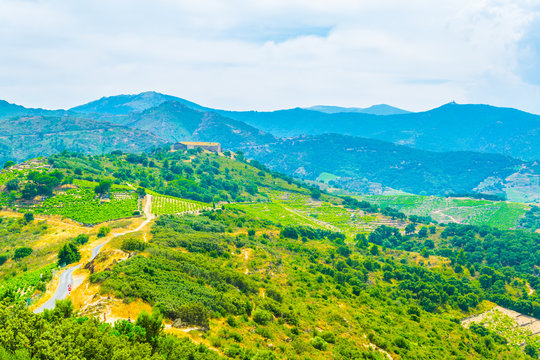 Pyrenees Orientales Near Collioure In France