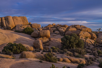 Sunset in the Desert