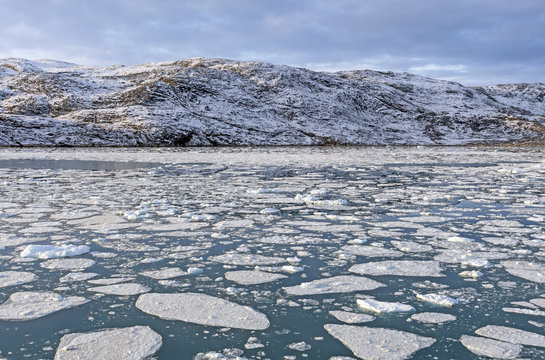 Sea Ice in a Glacial Bay