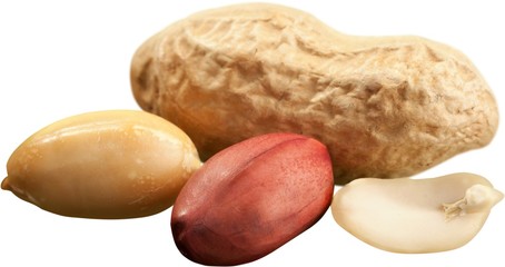 Obraz premium Peanuts - Isolated