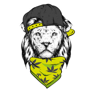 A beautiful lion in a cap and scarf. Vector illustration for a postcard or a poster, print for clothes. Wild animal.