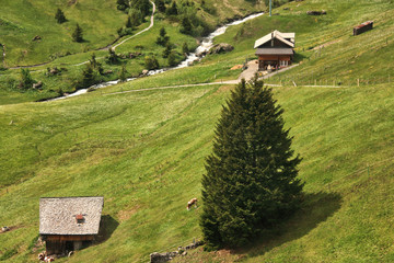 A Swiss Village on the Hill