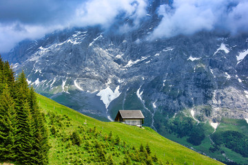 A cliff and green meadow with a Switzerland