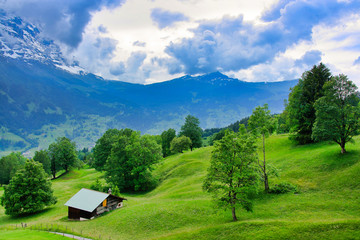 Idyllic Swiss mountain landscape