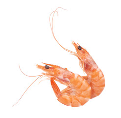 Two red cooked prawn or tiger shrimp isolated on white background