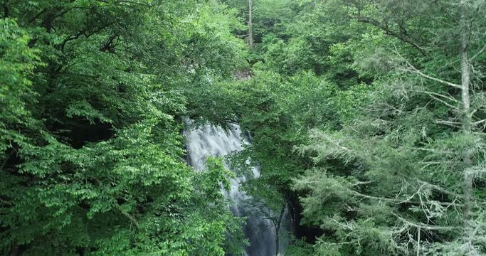Waterfall hidden behind lush vegetation in Asheville, aerial