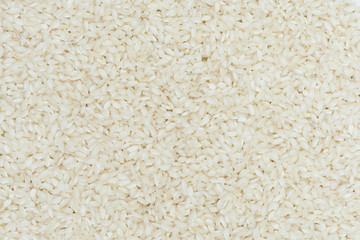 Borlotti rice background