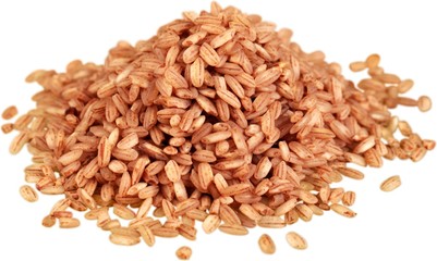 Dry Wheat - Isolated