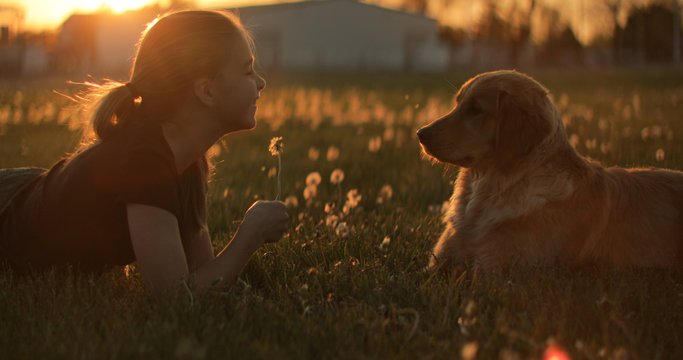 A teenage girl and her dog lay in a golden sunset field with smiles