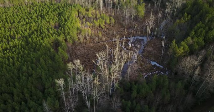 Panning aerial, forest wilderness landscape