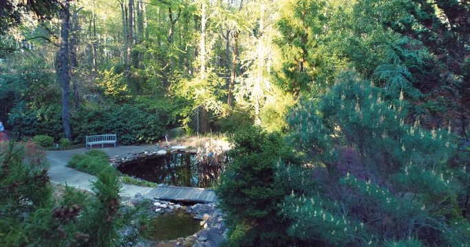 Tilt down aerial, pond in Pinehurst