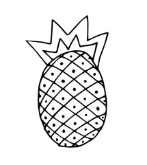 vector pineapple, children's drawing, teaching illustration for books for coloring, tropical fruit
