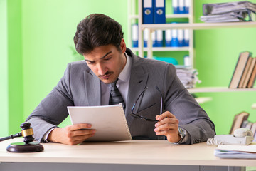 Young handsome lawyer working in the office 