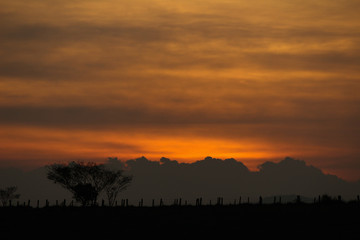 Country Sunset