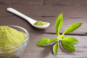 Fresh green Stevia herb and extract powder - Stevia rebaudiana.