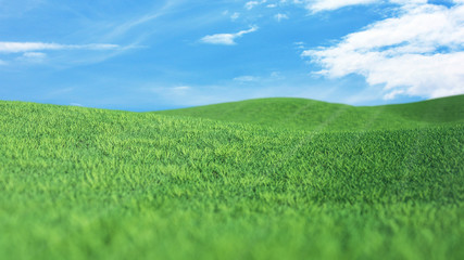 Landscape Green grass field and blue sky with clouds