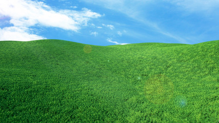 Landscape Green grass field and blue sky with clouds