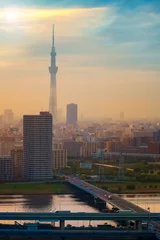 Schilderijen op glas Scenic view of the city of tokyo, the capital city of Japan in twilight © coward_lion